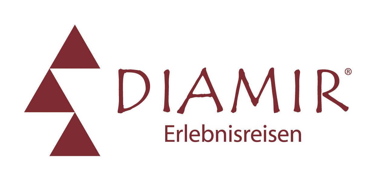 DIAMIR_Logo_4c_P1815