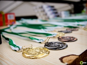 P4129766