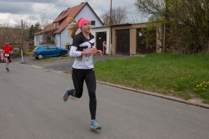 WILISCHLAUFRÖHRSDORF-F44