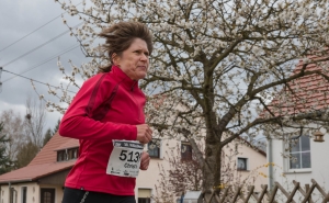 WILISCHLAUFRÖHRSDORF-F46