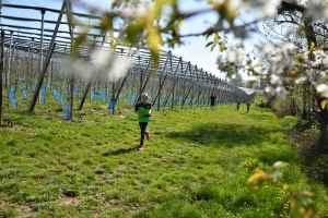 DSC_4182_pv